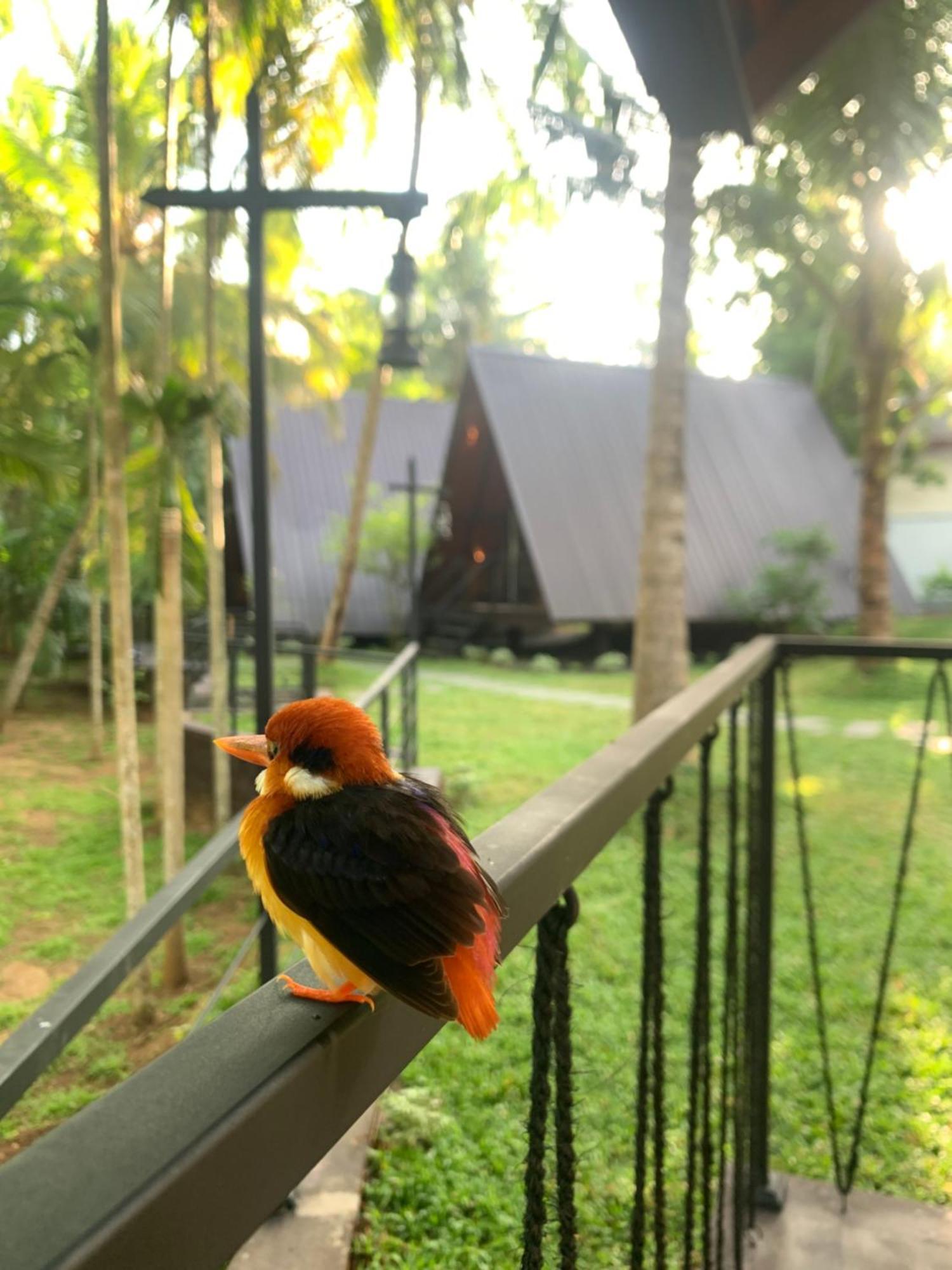 Rustic Cottages Udawalawe Luaran gambar