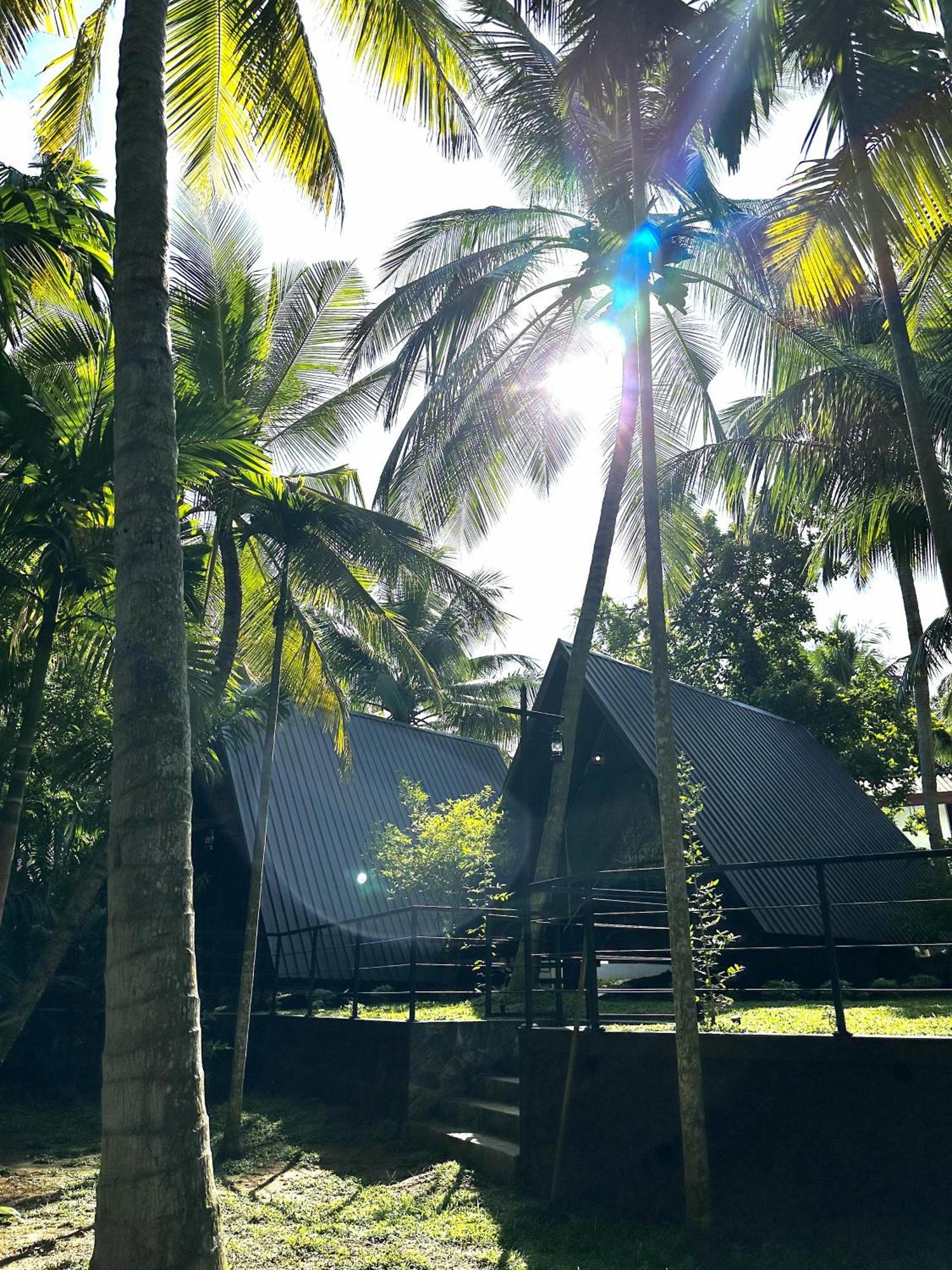 Rustic Cottages Udawalawe Luaran gambar